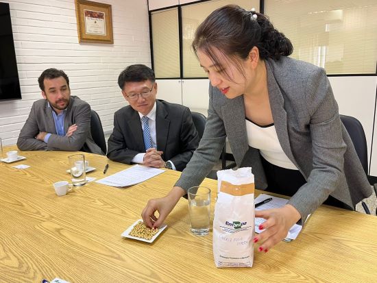 BOA PARA TOFU - Soja brasileira será testada na Coreia do Sul para fabricação de produtos alimentícios